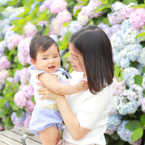 あじさい 紫陽花 あじさいフォト 紫陽花フォト